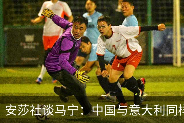 安莎社谈马宁：中国与意大利同样无缘世界杯，这位裁判被球迷追捧